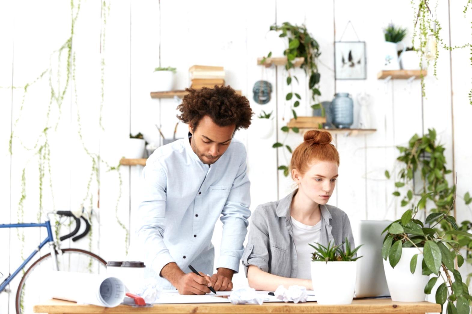 Professionelle Finanzanalyse und Beratung bei thalorivexis